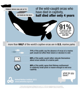 AWI Orca Infographic